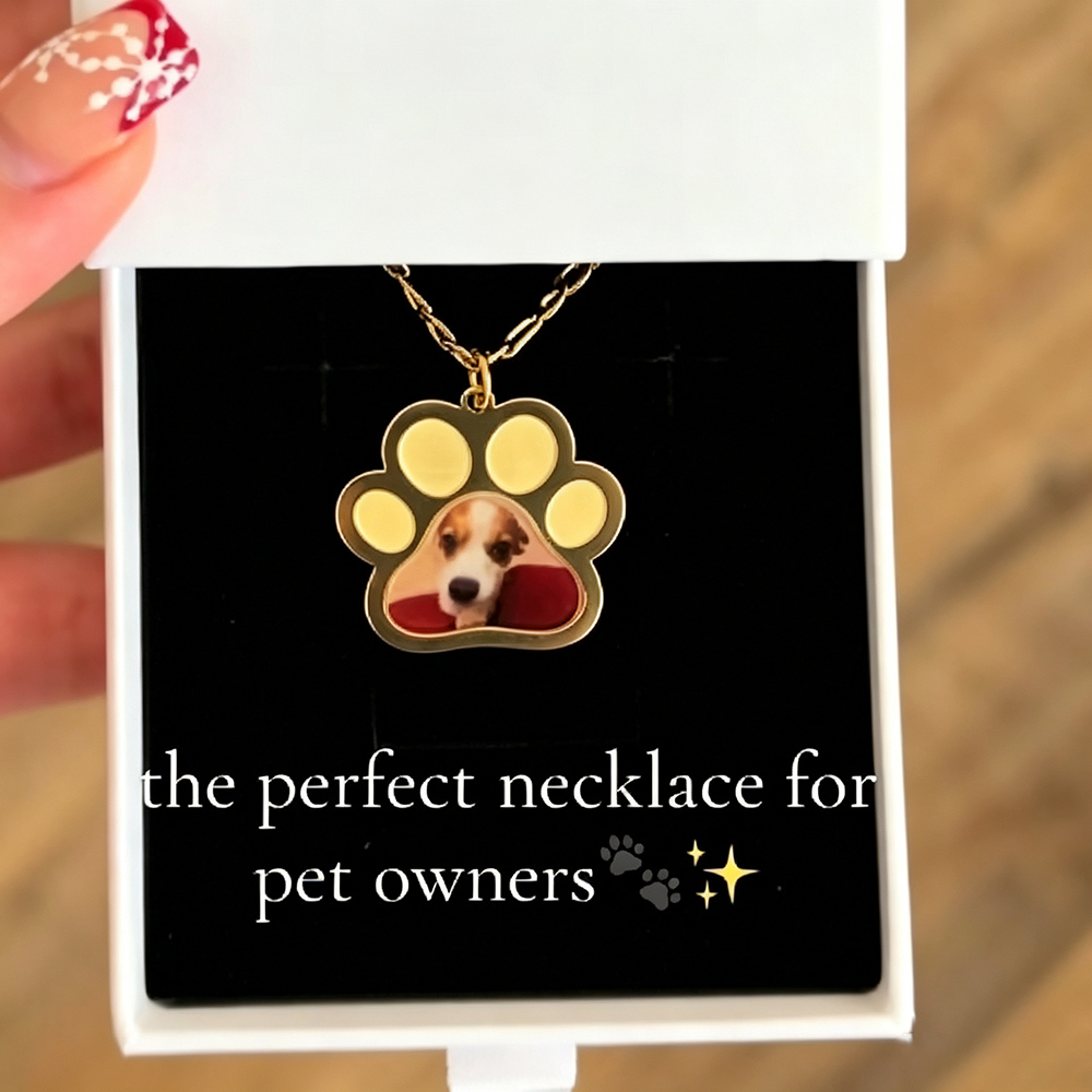 Kişiselleştirilmiş Pet Paw Ren - Name Necklace Custom incelemesi ve fiyatı