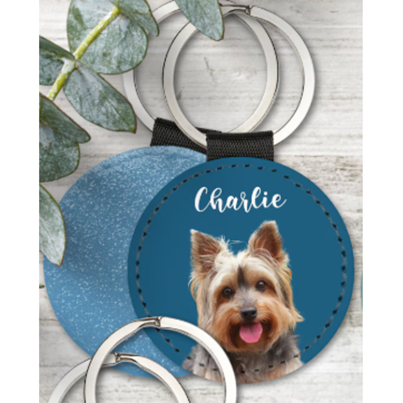 Özel Evcil Hayvan Fotoğraf Ana - Pet Portrait Custom incelemesi ve fiyatı
