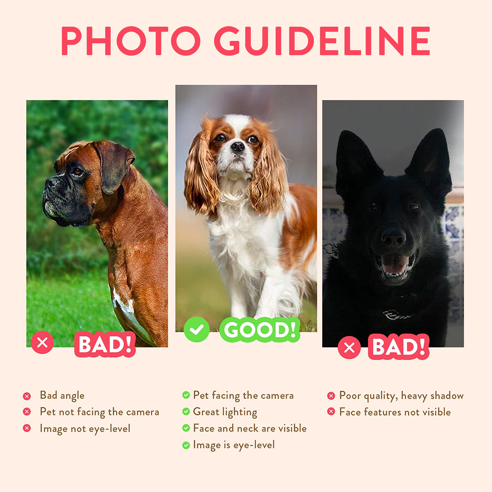 Kişiselleştirilmiş Evcil Hayva - Pet Portrait Custom incelemesi ve fiyatı