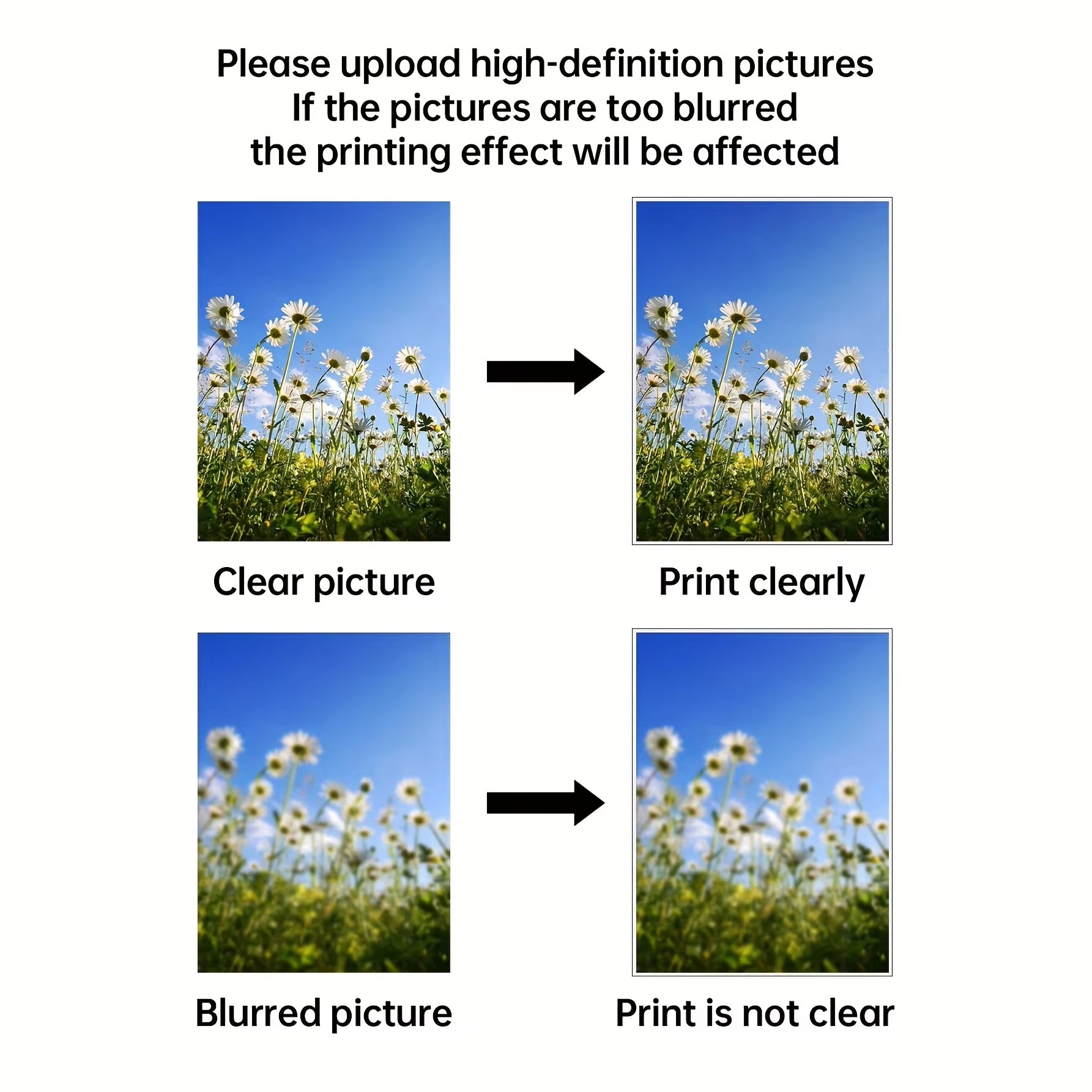 Özel Baskı Kanvas Tablo Fotoğr - Pet Portrait Custom incelemesi ve fiyatı